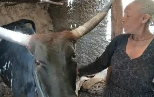 Hadas Kiros