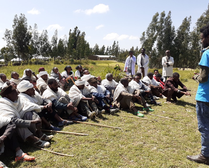 School Feeding Committee Establishment